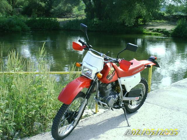 Photo 411732