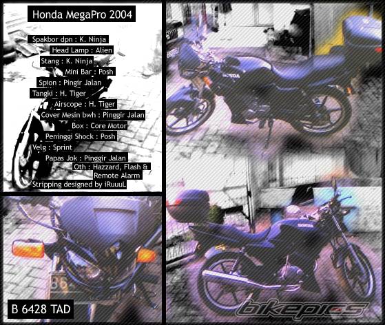 Photo 411753