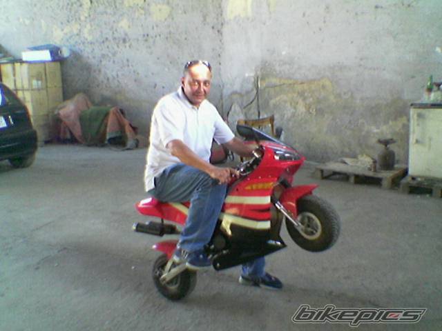 Photo 411761