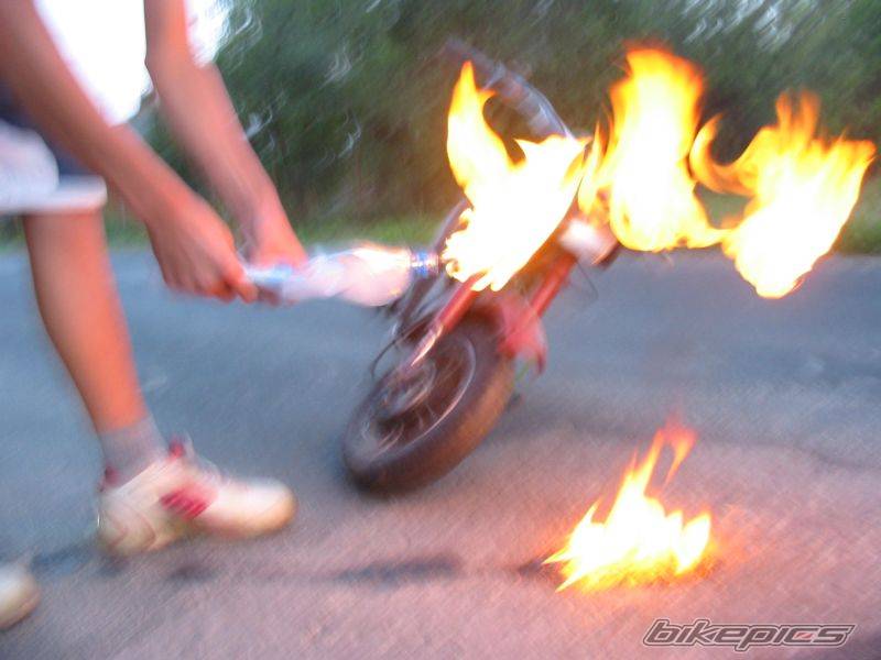 Photo 411818