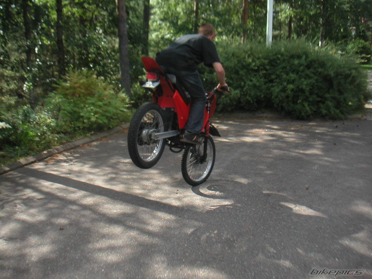 Photo 411966