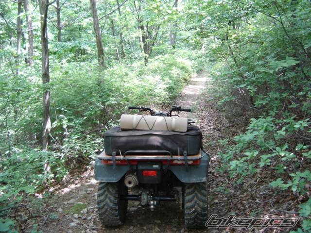 Photo 411973