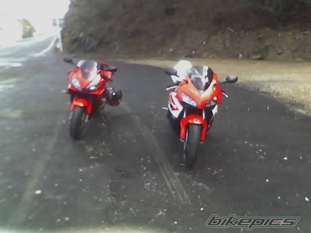 Photo 412312