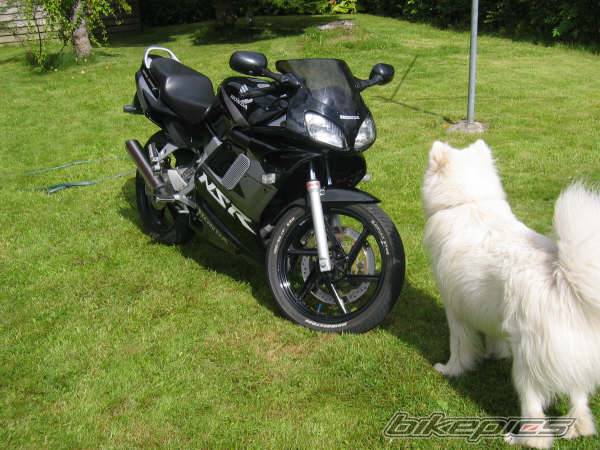 Photo 412395
