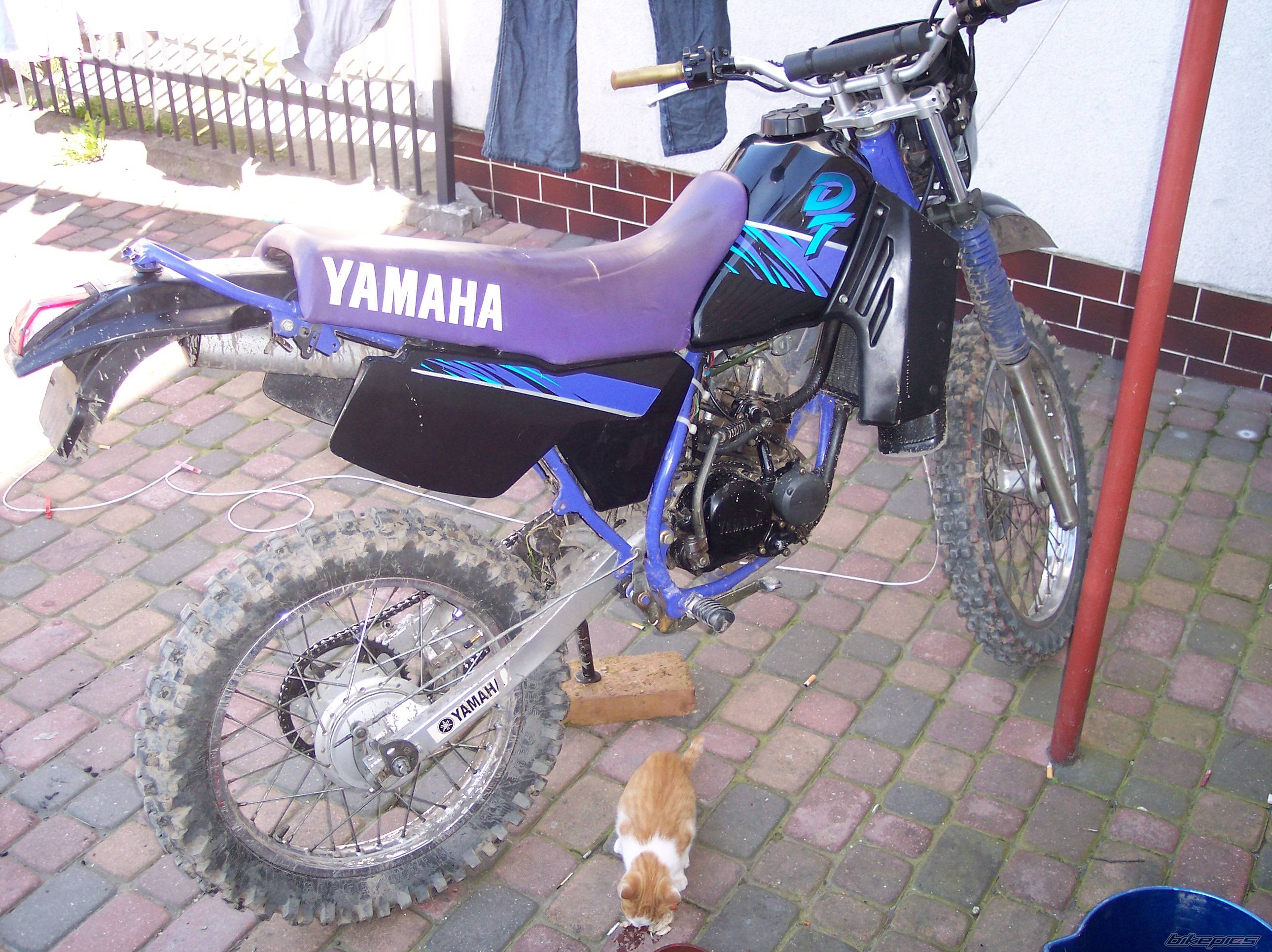 Bike Photo 412448