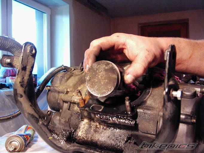 Photo 412563