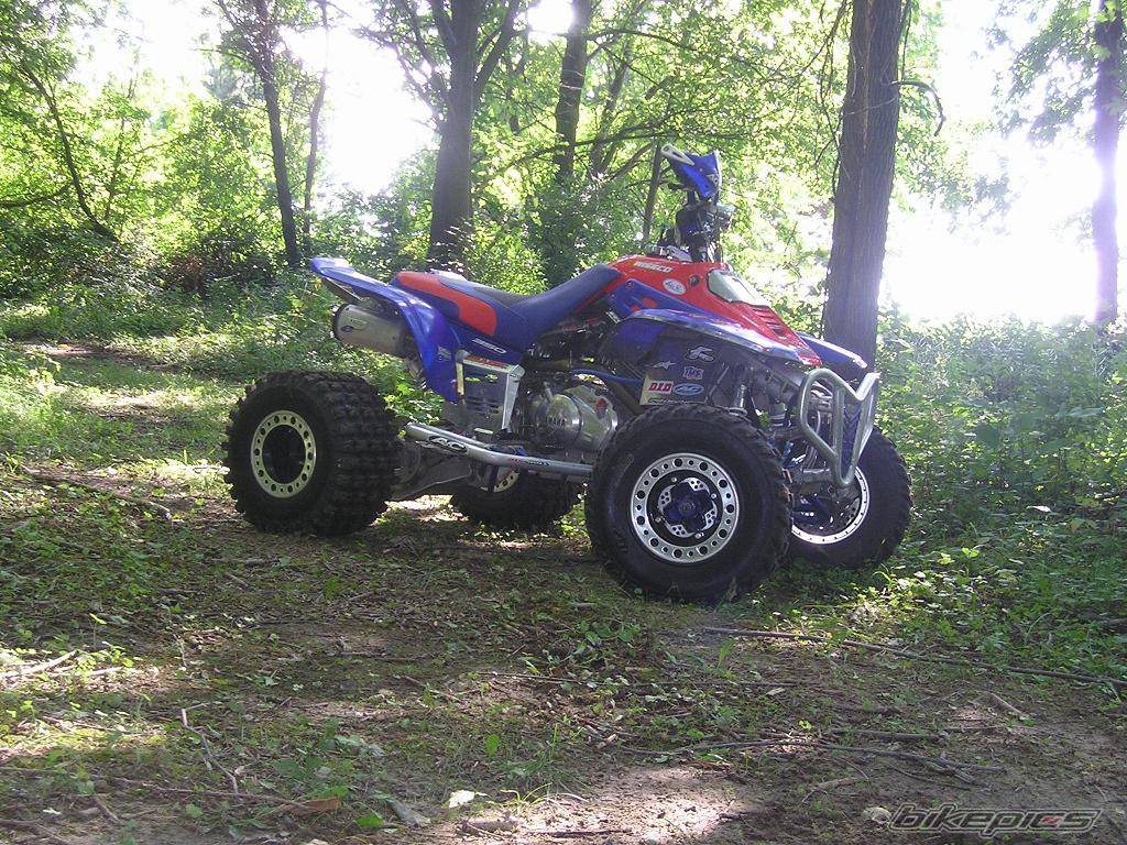 Photo 412681
