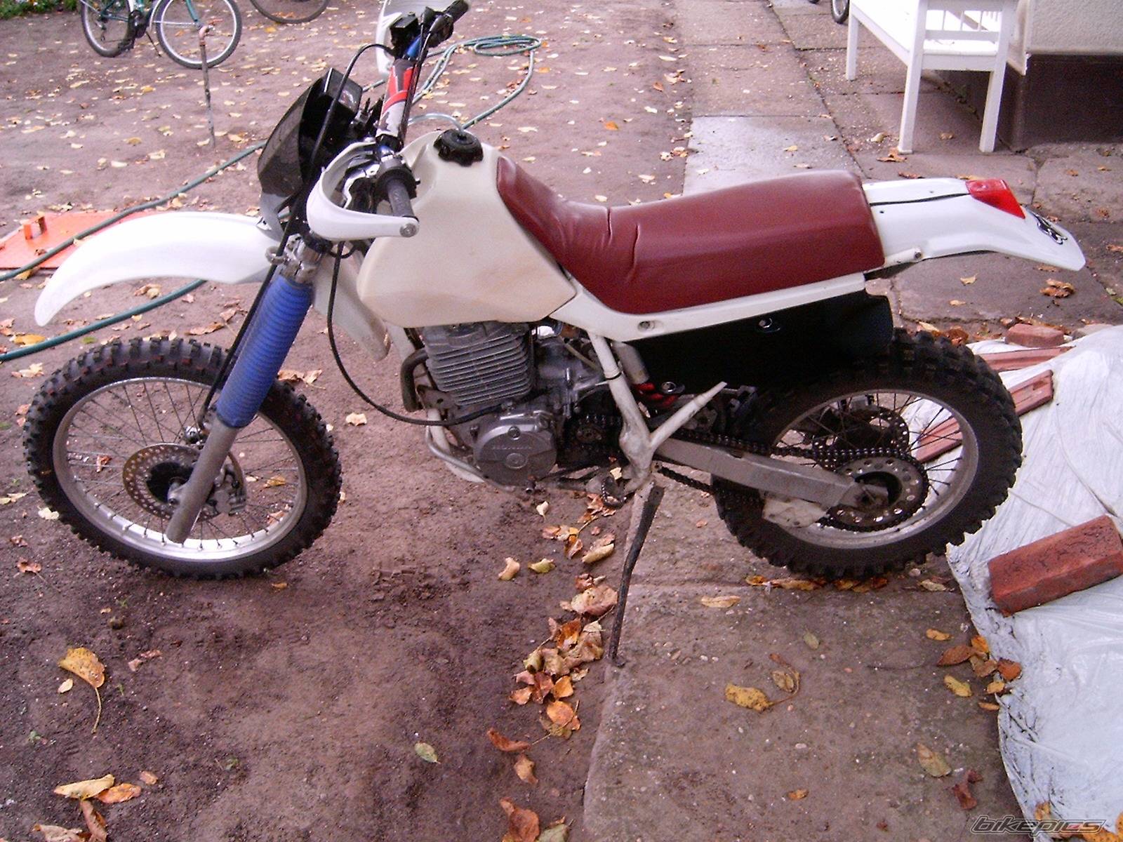 Photo 412919