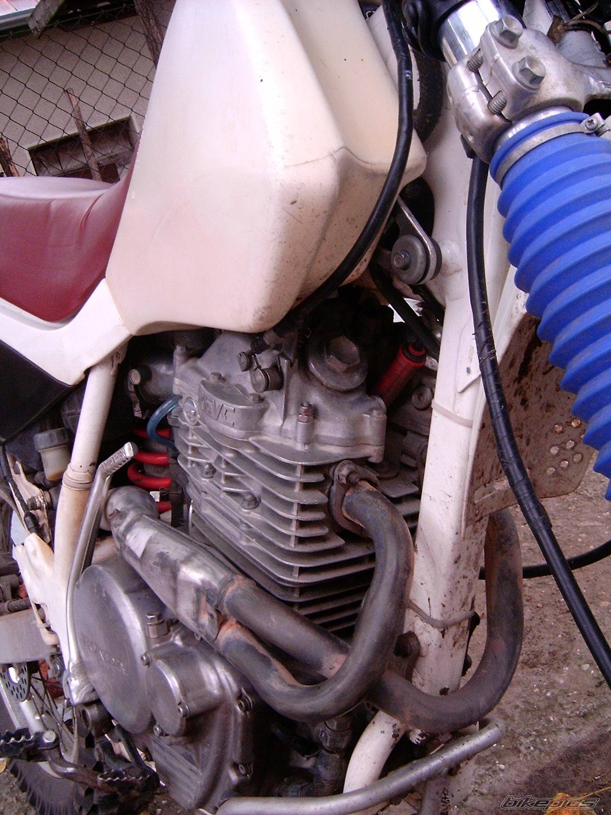 Photo 412927