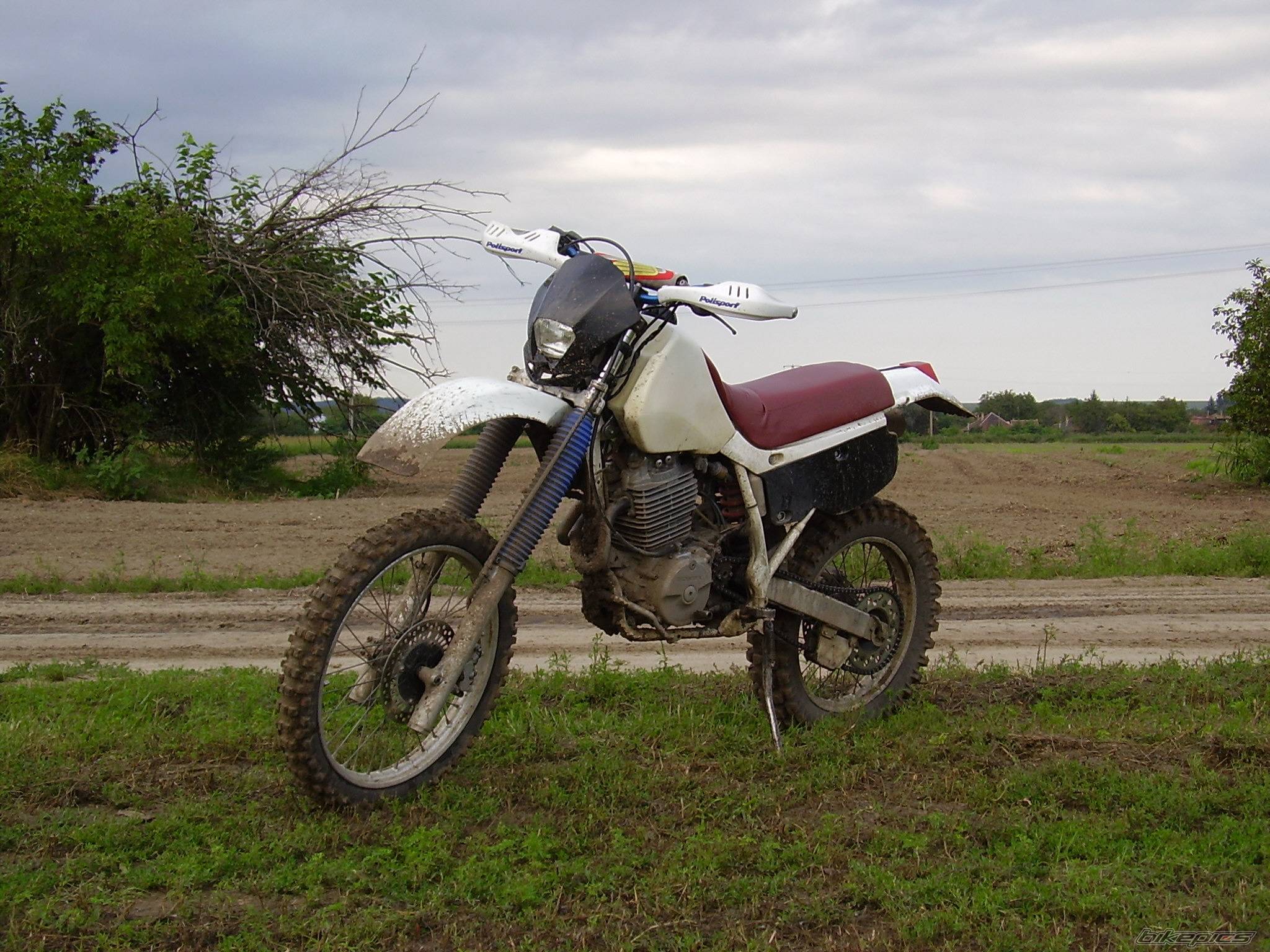 Photo 412934