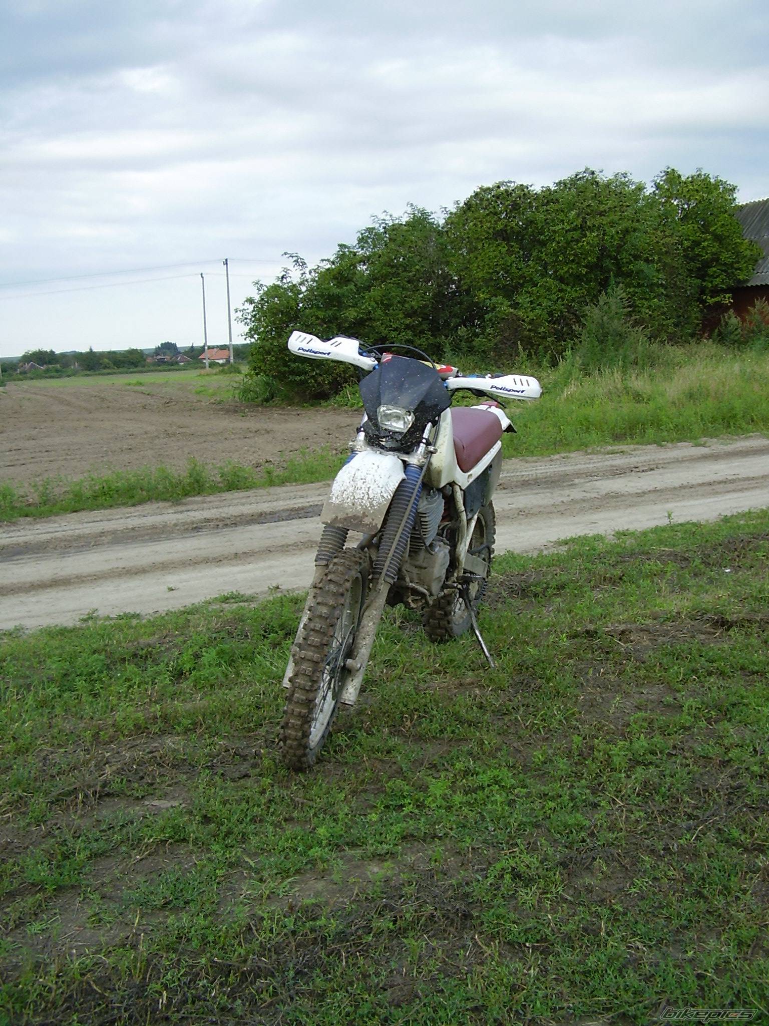 Photo 412935