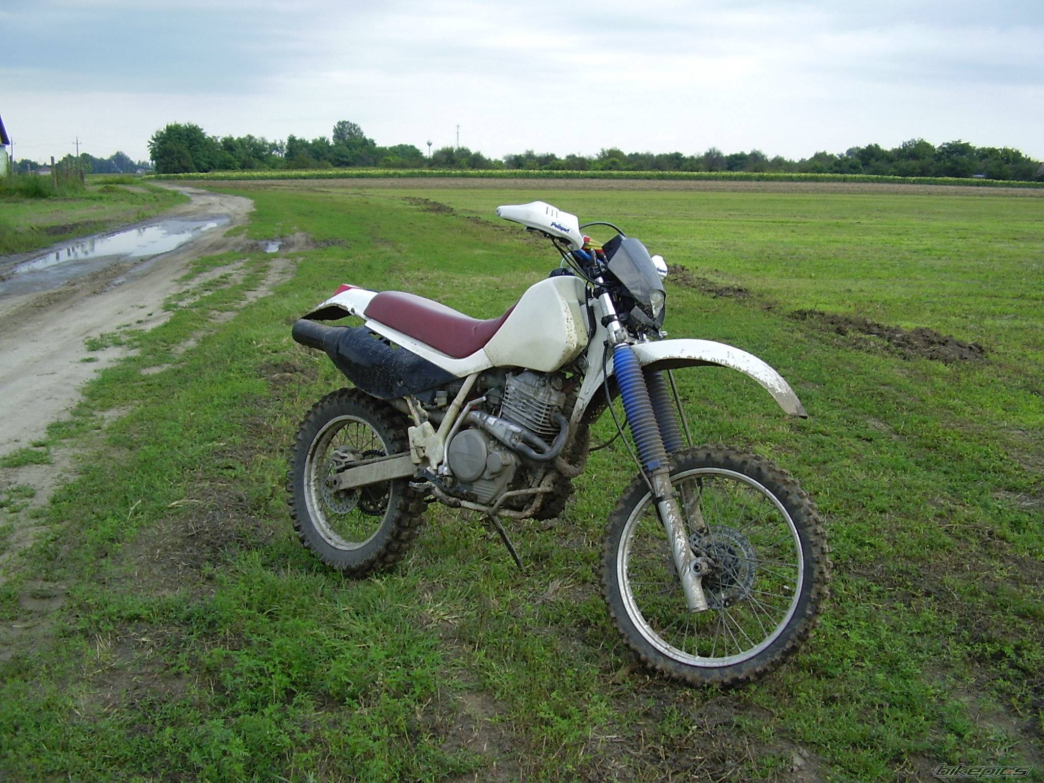 Photo 412936