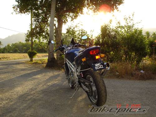 Photo 412940