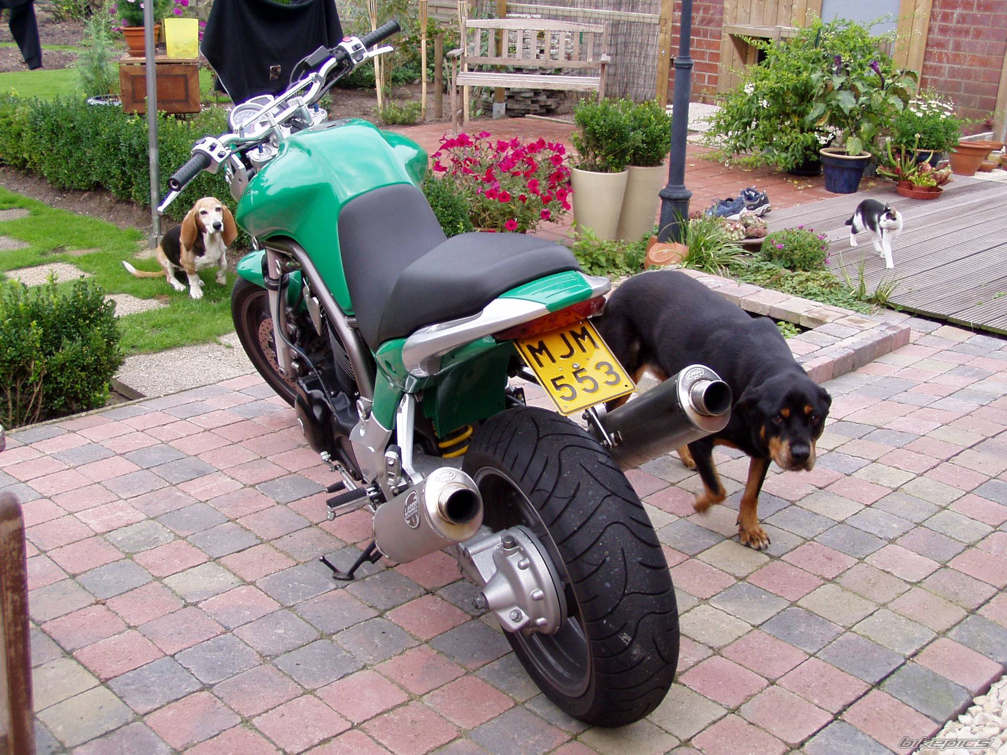 Bike Photo 413097