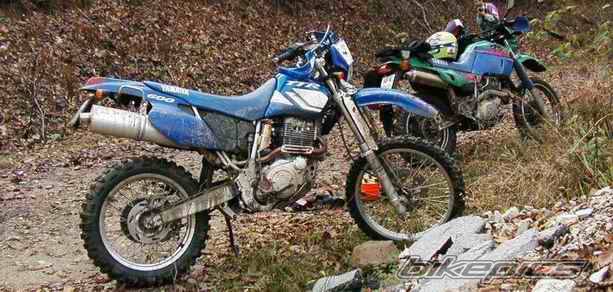 Bike Photo 41317