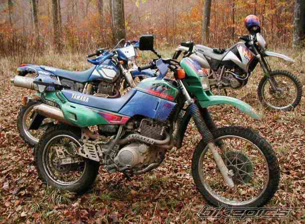 Bike Photo 41319