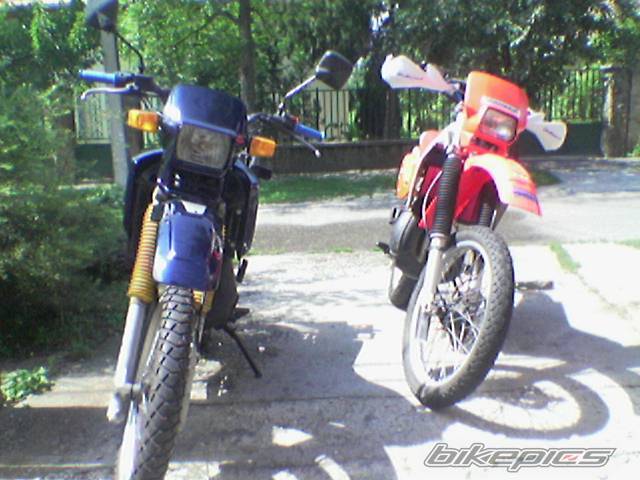 Photo 413231