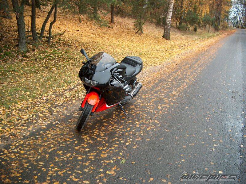 Bike Photo 41325