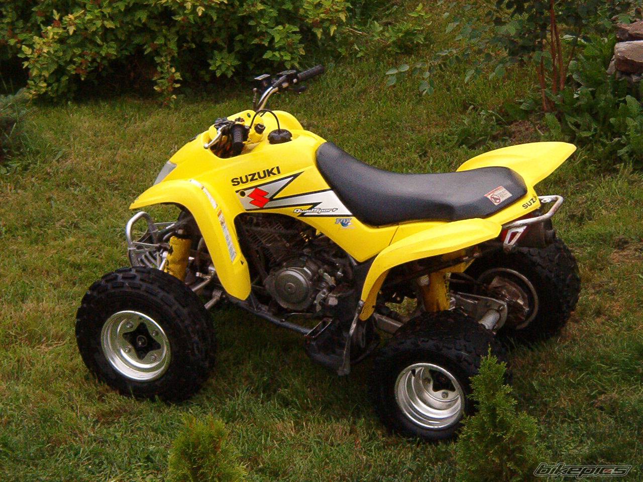 Photo 413332