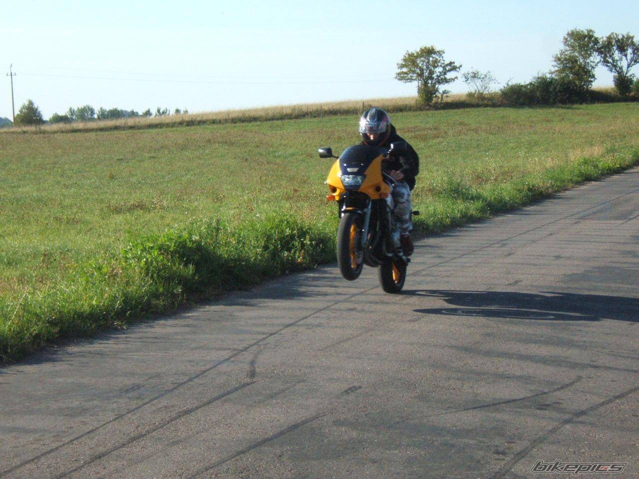 Photo 413482