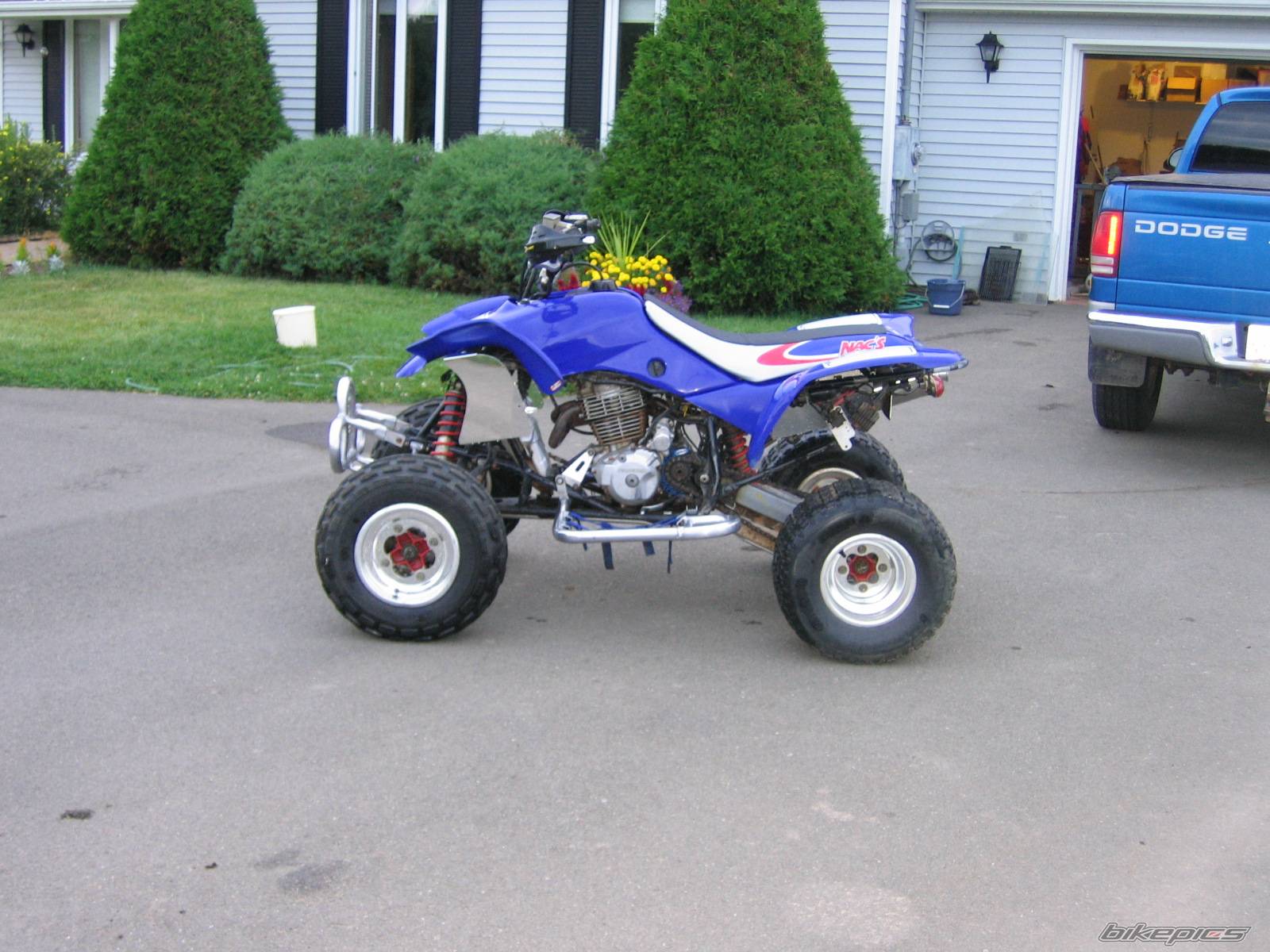 Photo 413562