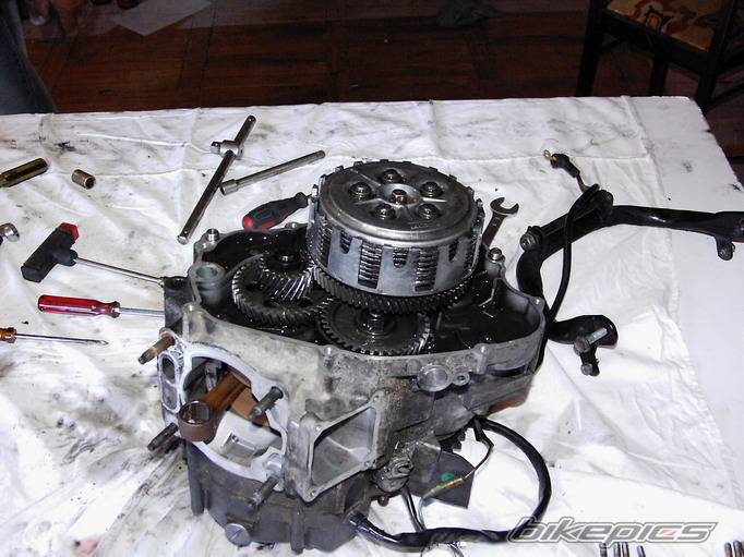 Photo 413572