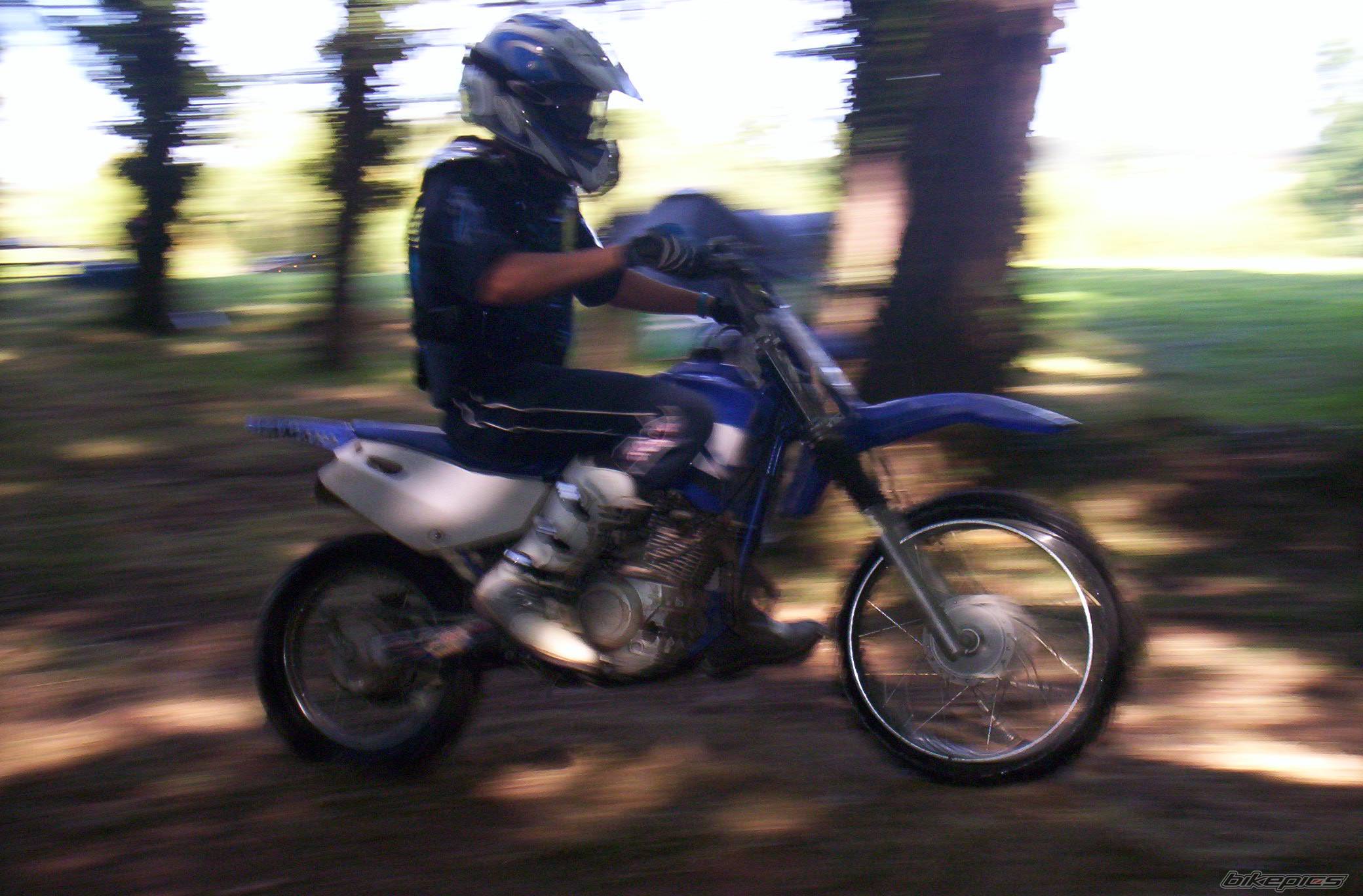 Photo 413584