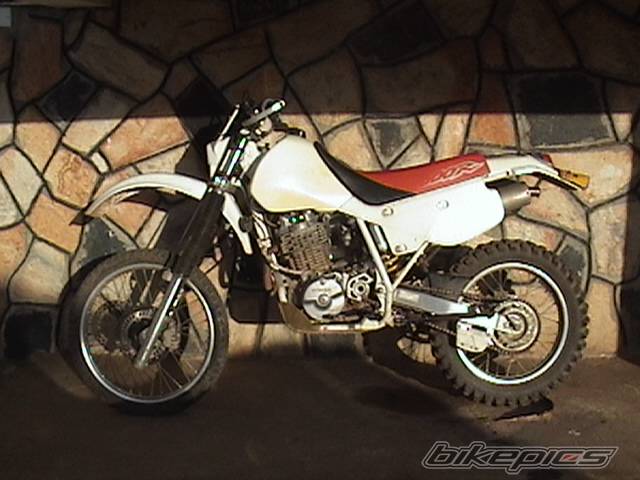 Bike Photo 413623