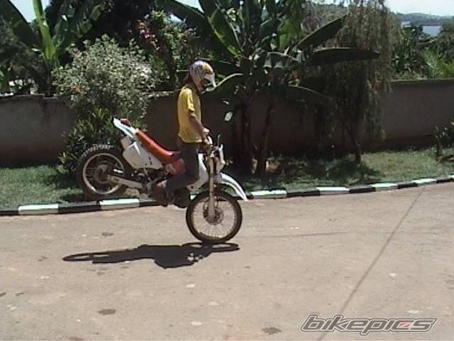 Photo 413626