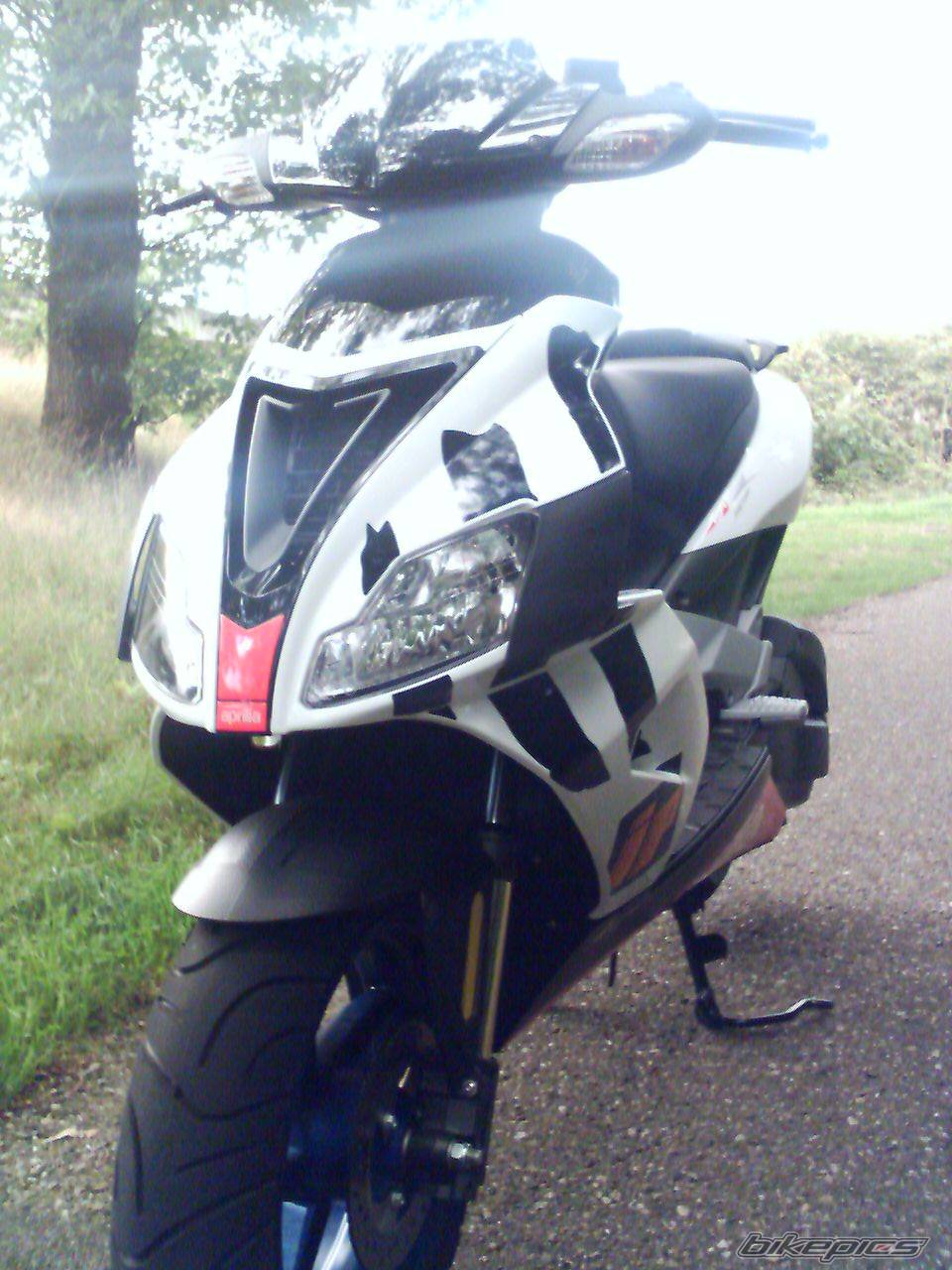 Bike Photo 413668