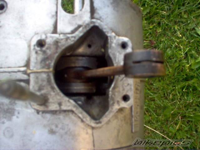 Photo 413725