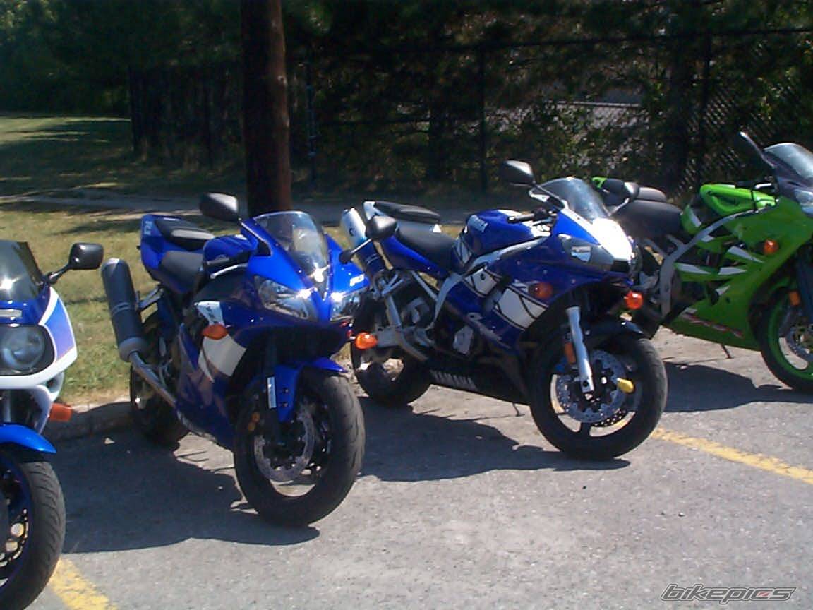 Photo 41393