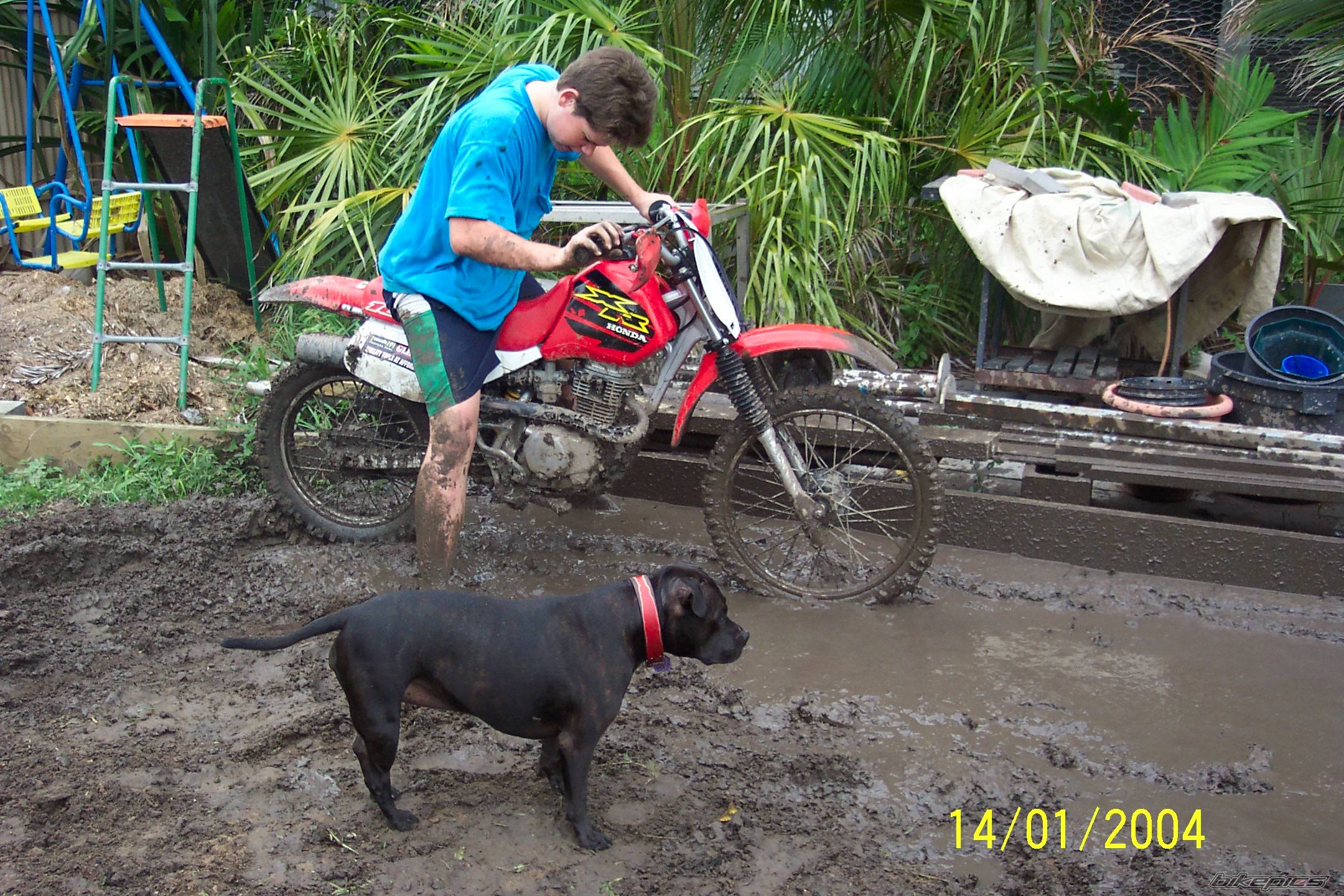 Bike Photo 414060