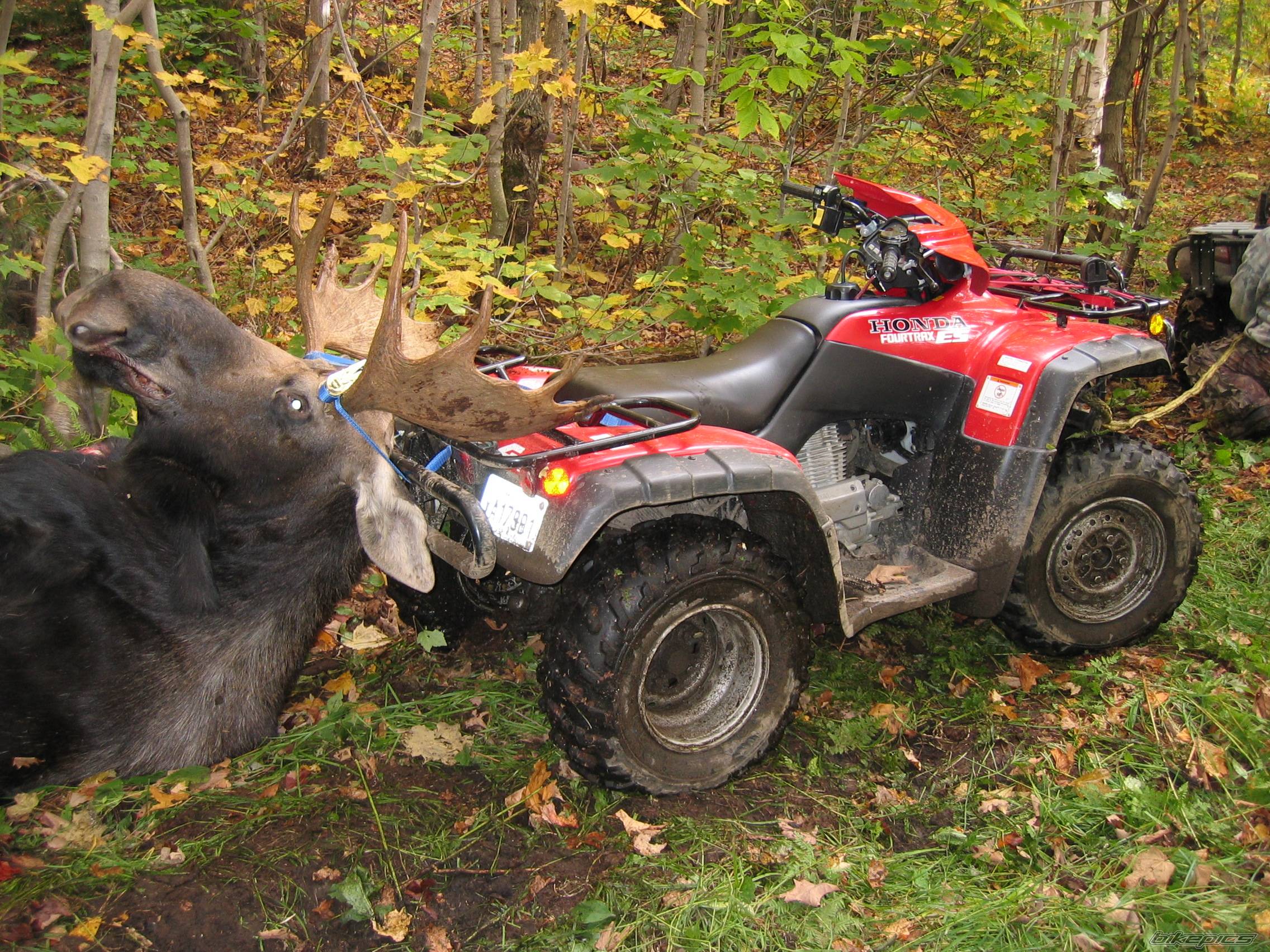 Photo 414369
