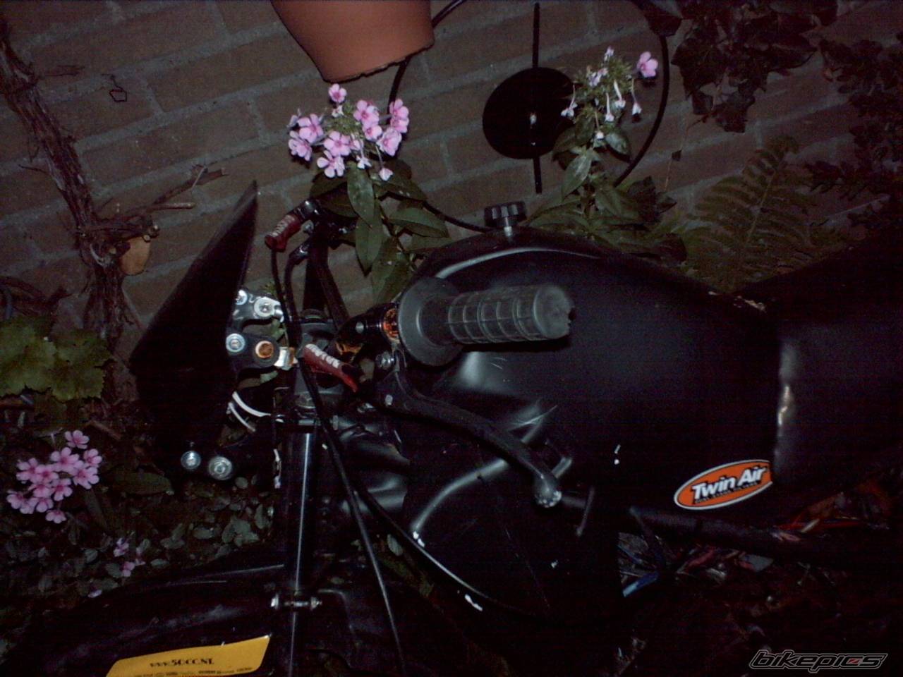 Photo 414383