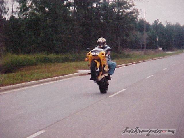 Photo 41441