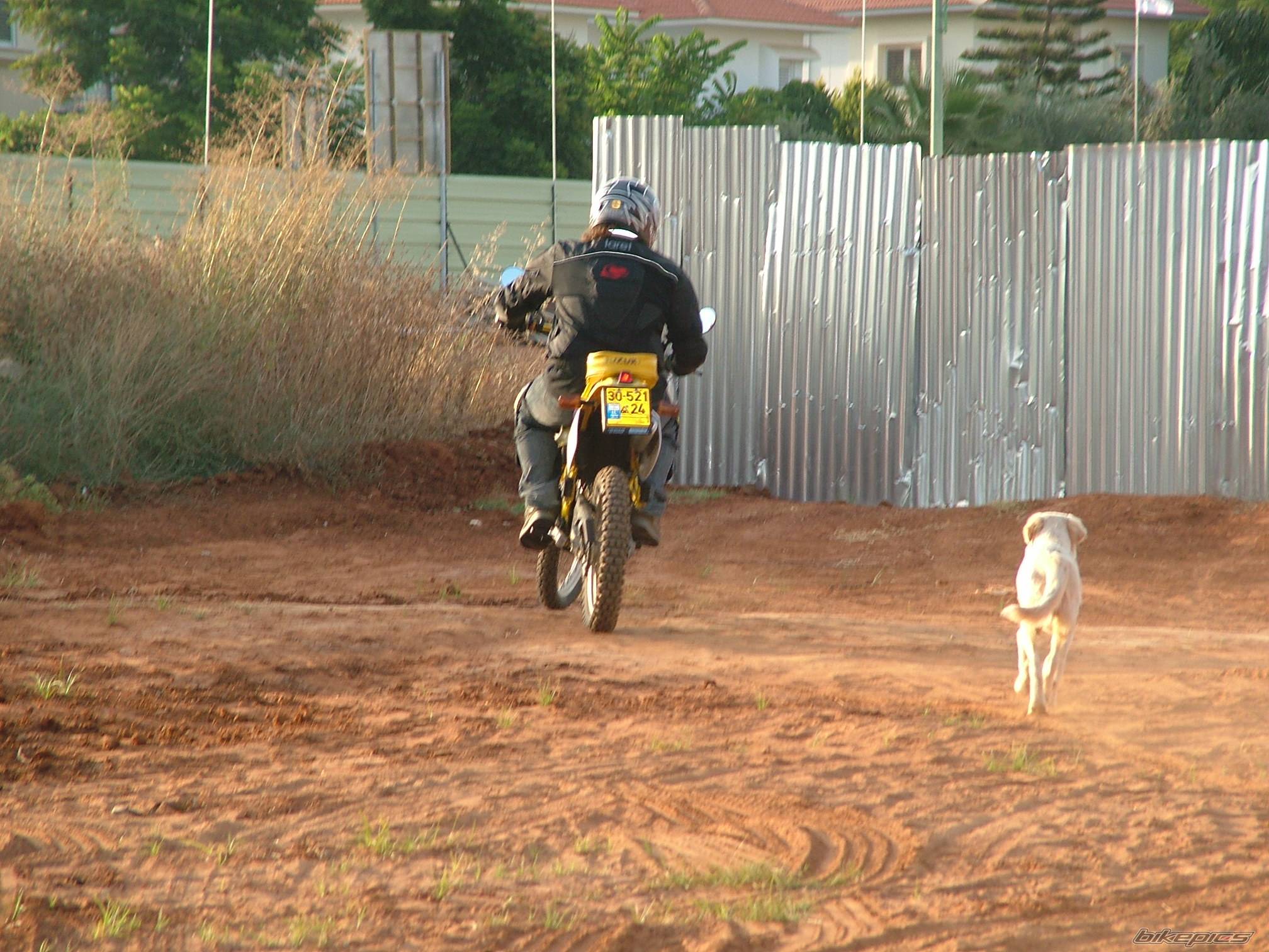 Bike Photo 414514