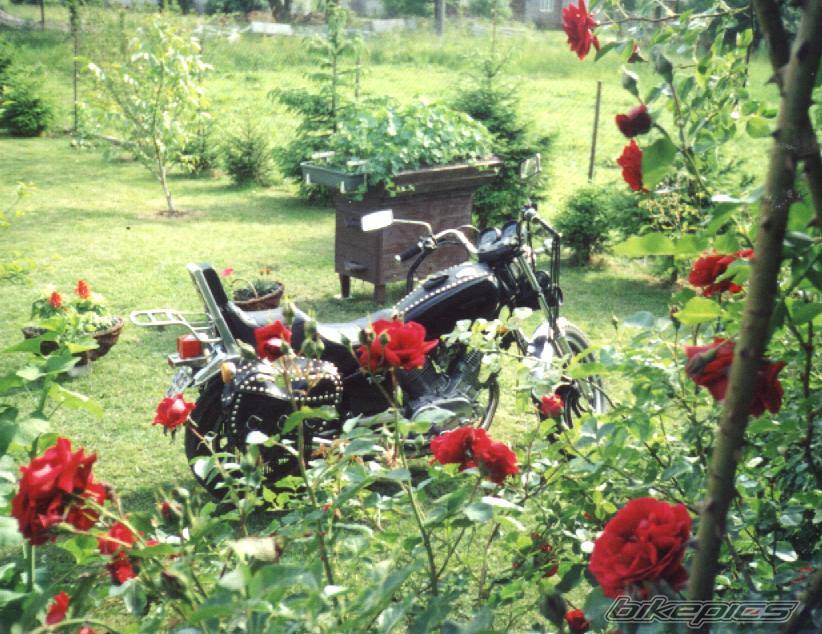 Bike Photo 41459