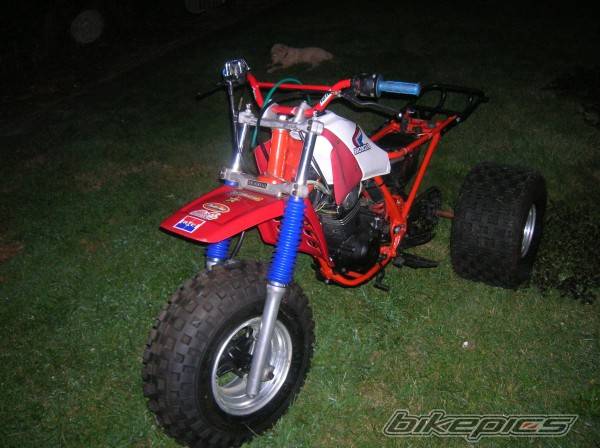 Photo 414653