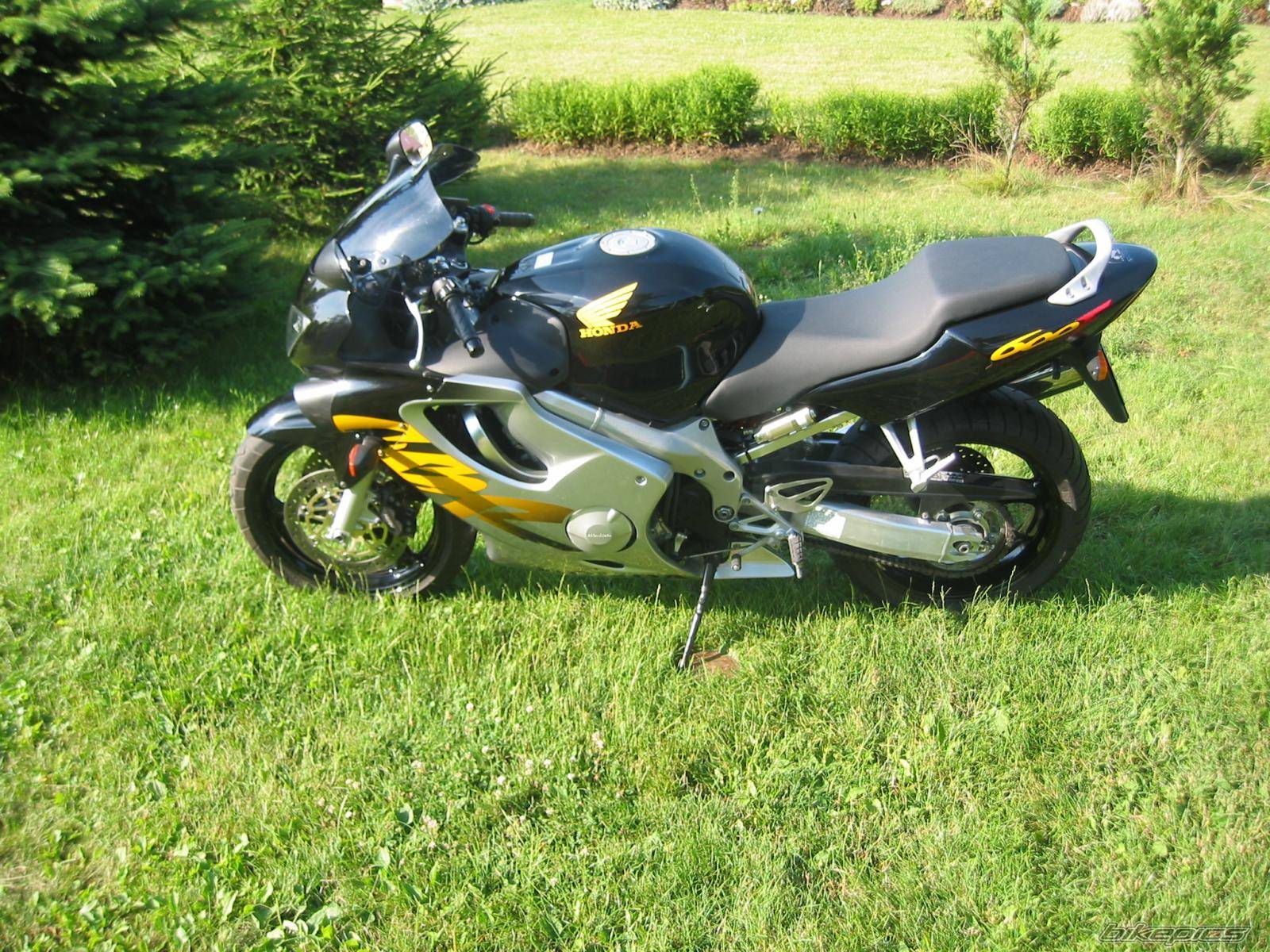 Photo 414839