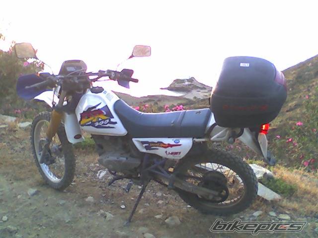 Photo 415004
