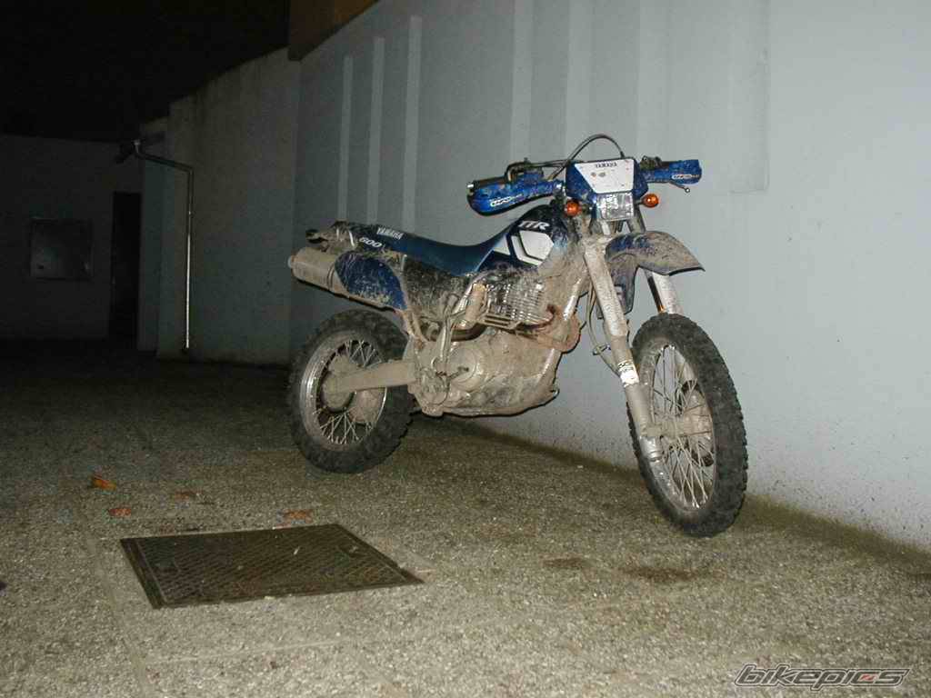 Photo 41504