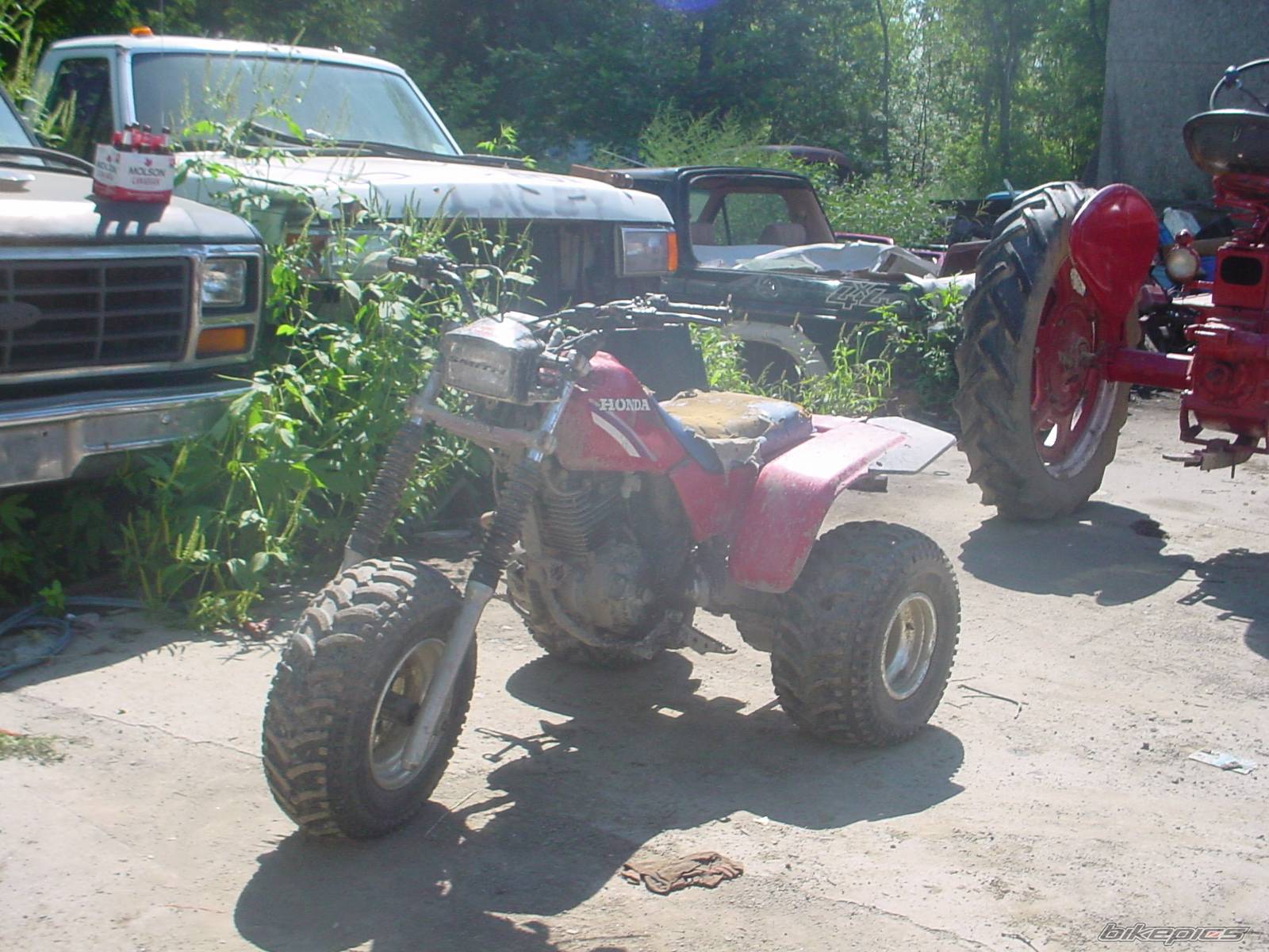 Photo 415041