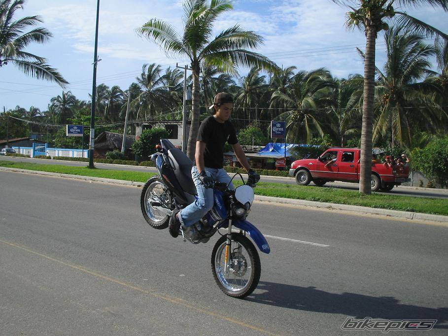 Photo 415339