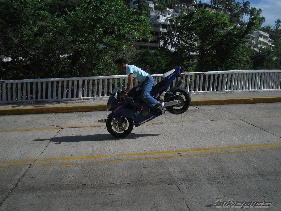 Photo 415362