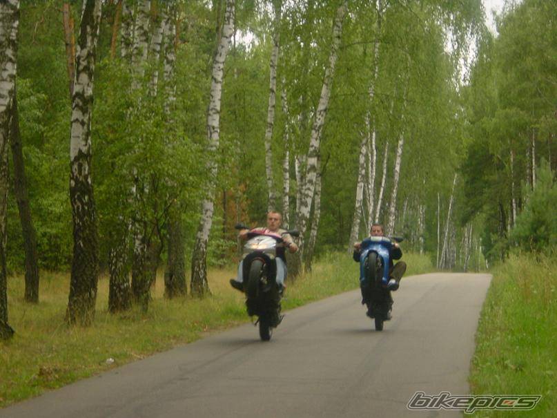 Photo 415435