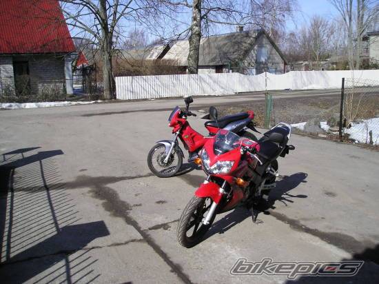 Photo 415492