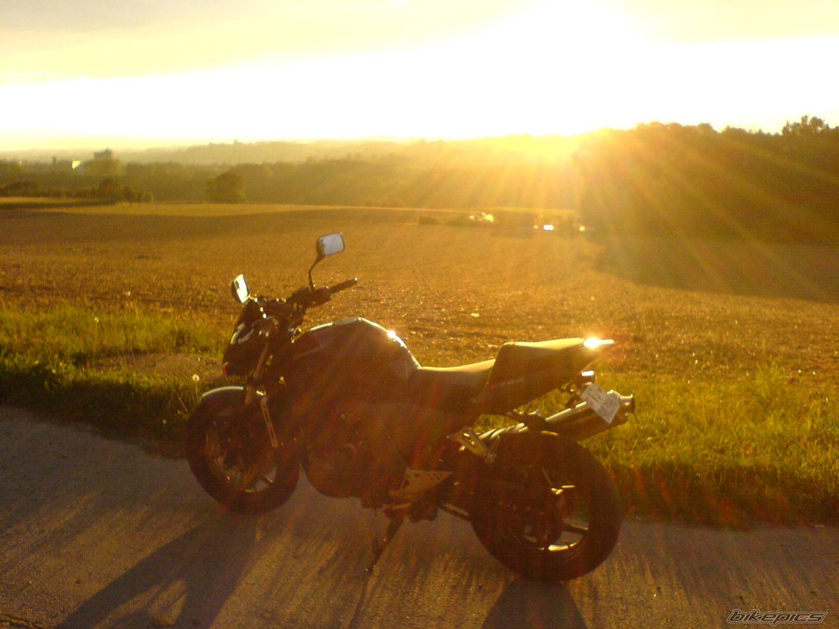 Photo 415740