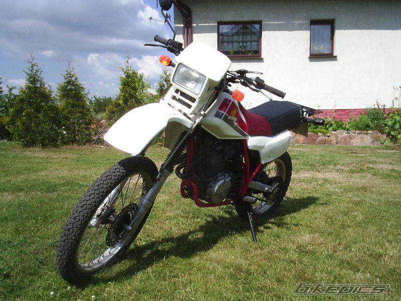 Photo 415750
