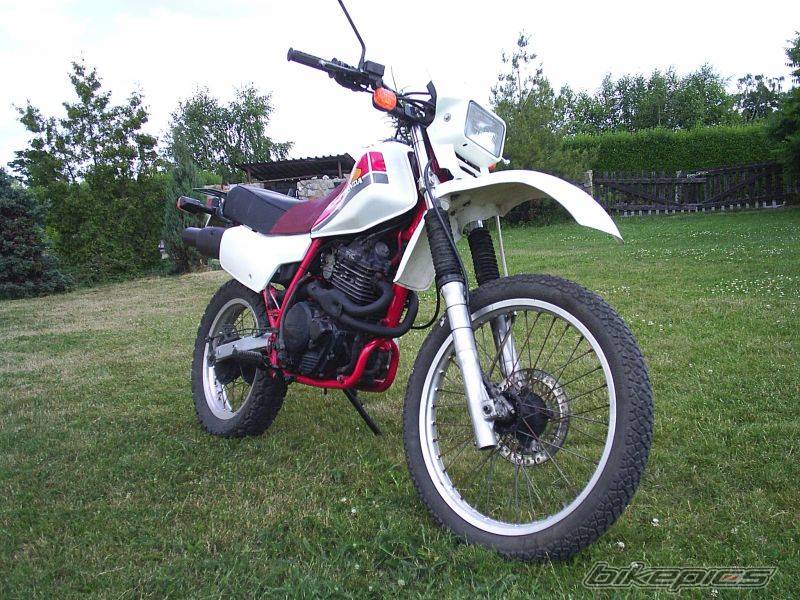 Photo 415753